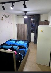 Blk 339A Sun Trellis (Sembawang), HDB 5 Rooms #523731451